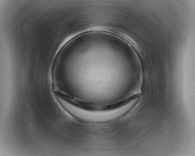 X0000115811428200911201409
