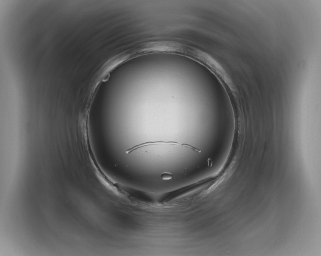 X0000115811433200911201409