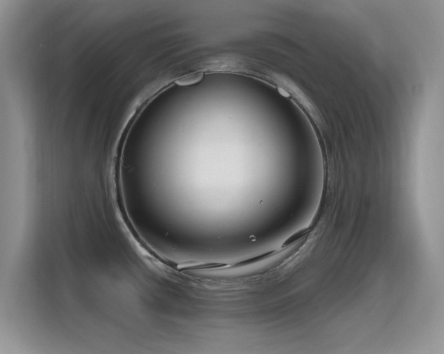 X0000115811434200911201409