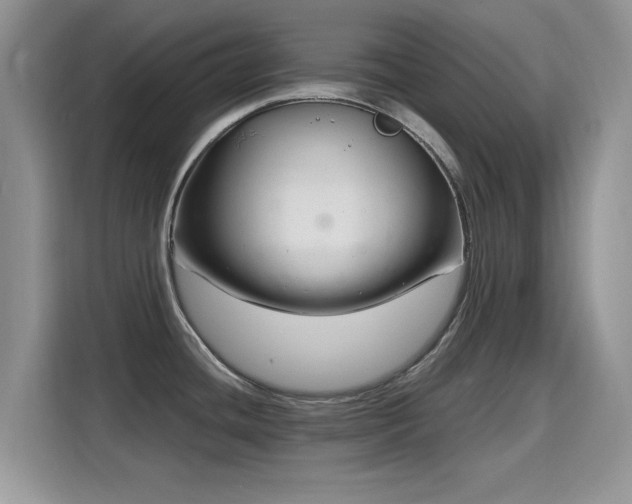X0000115811436200911201409