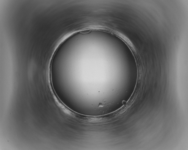X0000115811439200911201409