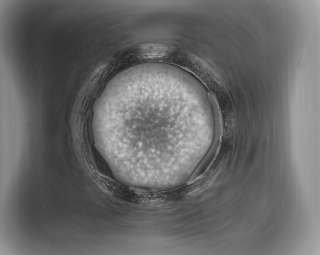 X0000115811441200911201409