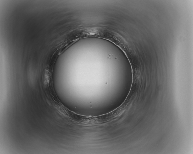 X0000115811442200911201409