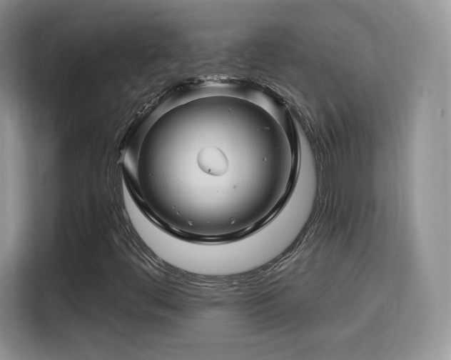 X0000115811444200911201409