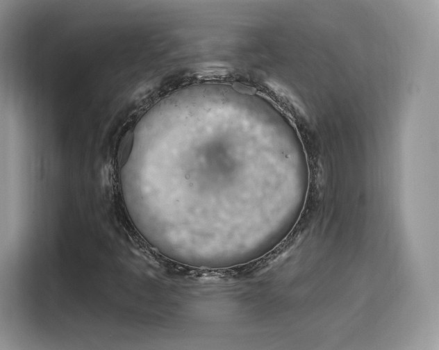 X0000115811445200911201409