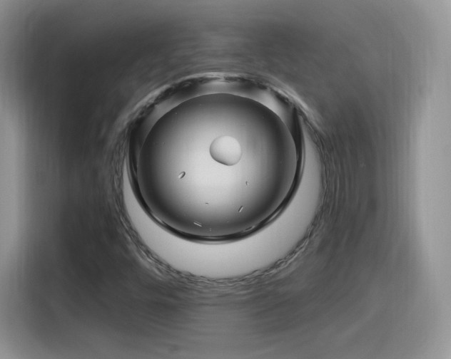 X0000115811448200911201409