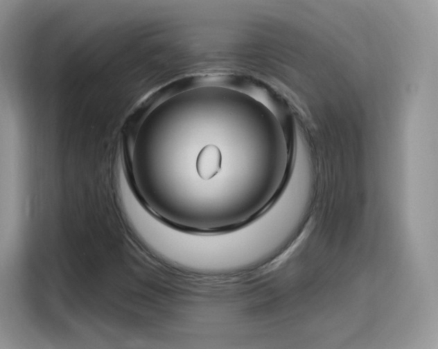 X0000115811449200911201409