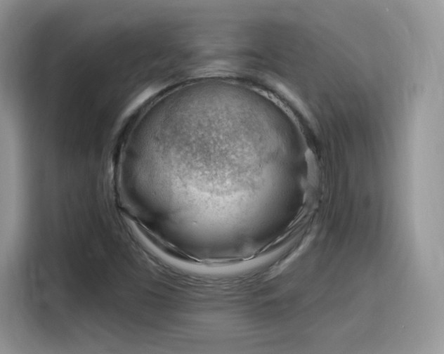 X0000115811453200911201408