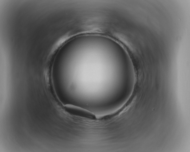 X0000115811455200911201408