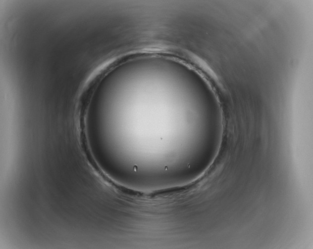 X0000115811456200911201408
