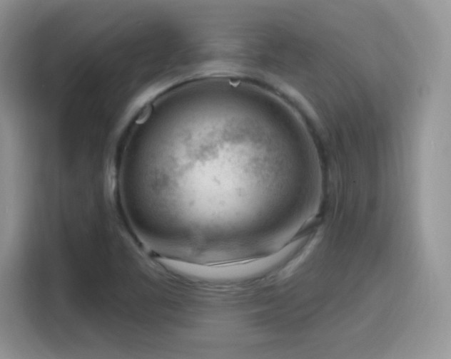 X0000115811461200911201408
