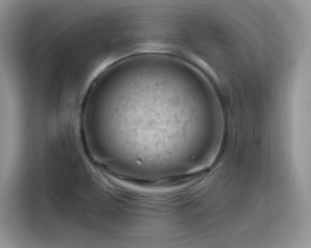 X0000115811463200911201408