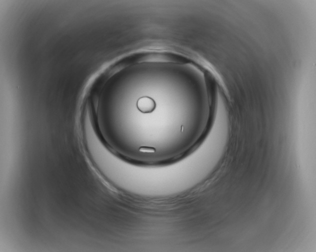 X0000115811464200911201408