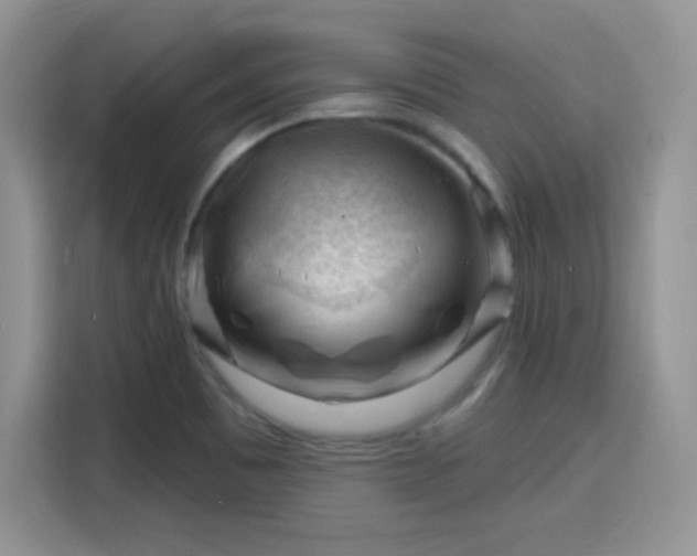 X0000115811465200911201408