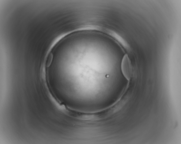X0000115811468200911201408