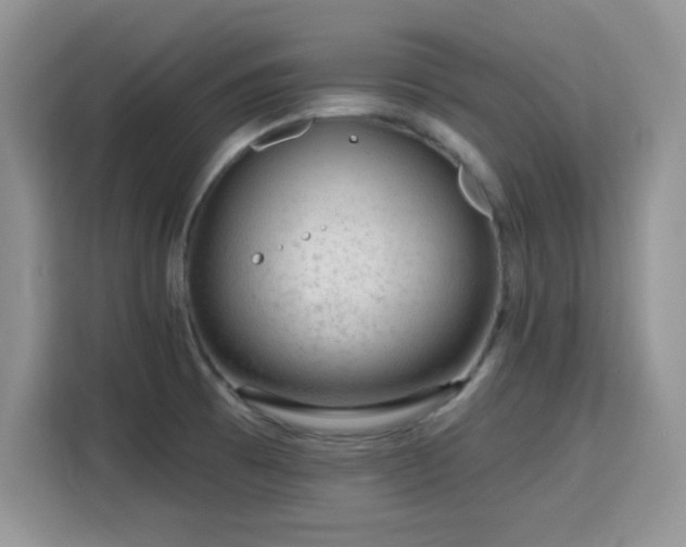 X0000115811473200911201408