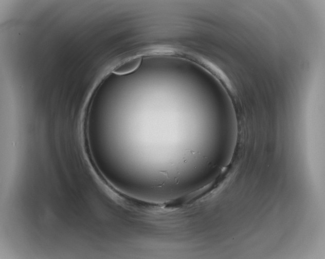 X0000115811475200911201408