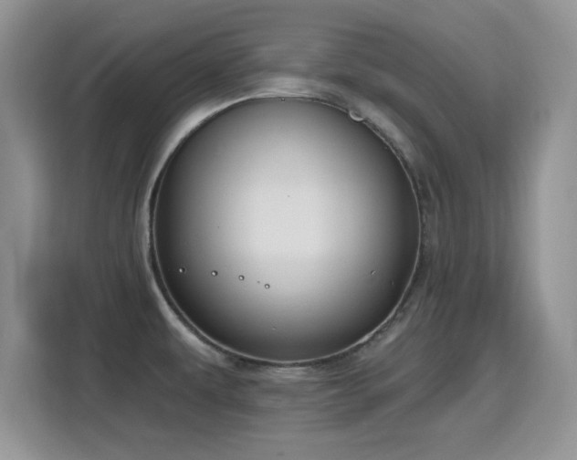 X0000115811479200911201408