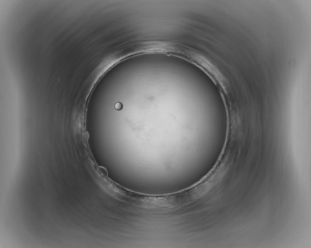 X0000115811481200911201408