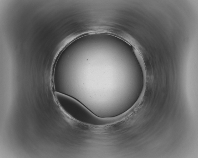 X0000115811485200911201408