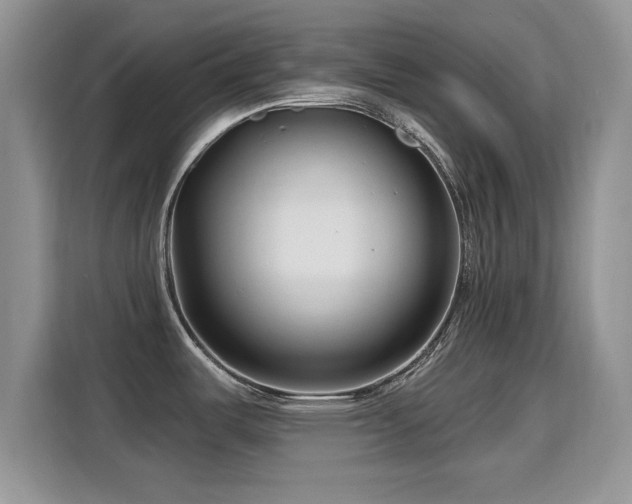 X0000115811487200911201408
