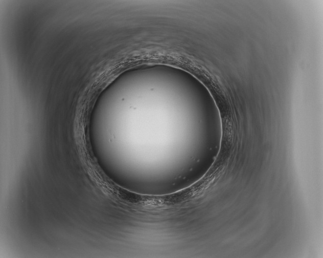 X0000115811489200911201407