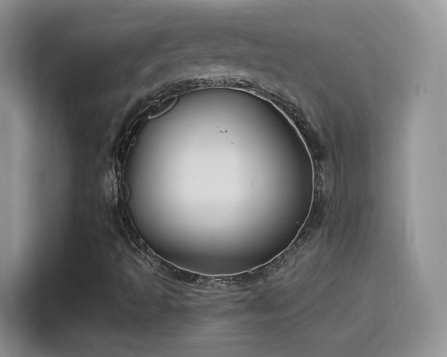 X0000115811493200911201407