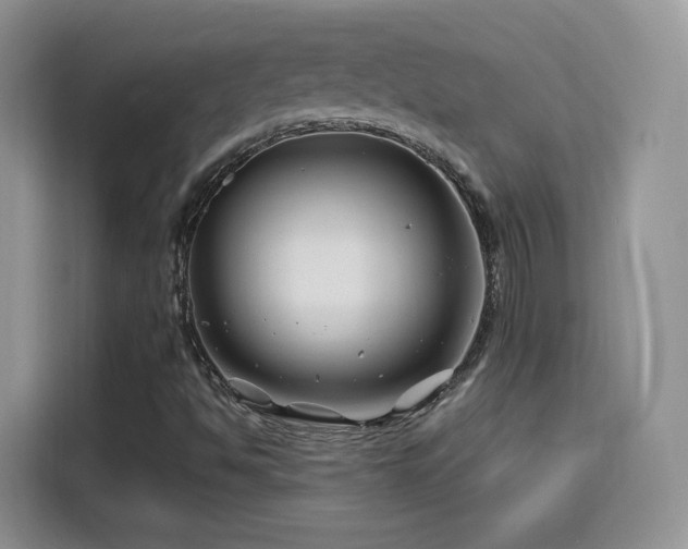 X0000115811494200911201407