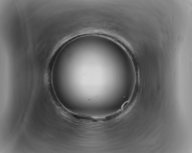 X0000115811501200911201408