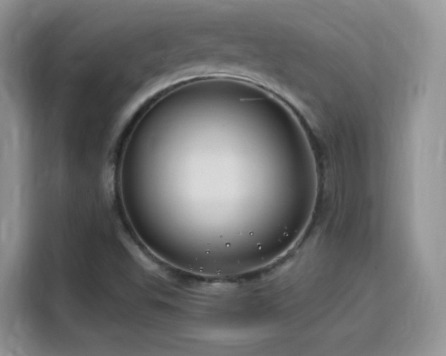 X0000115811503200911201408