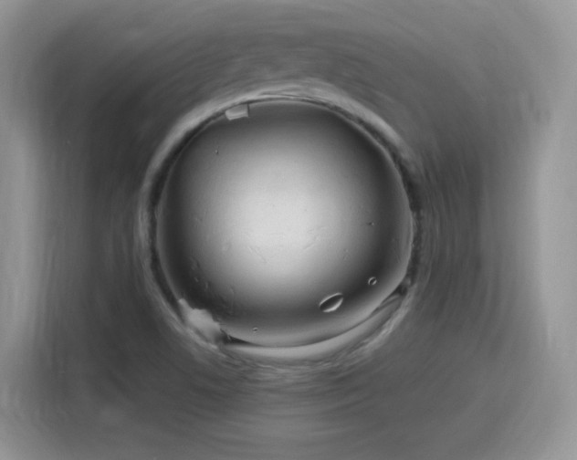 X0000115811506200911201408
