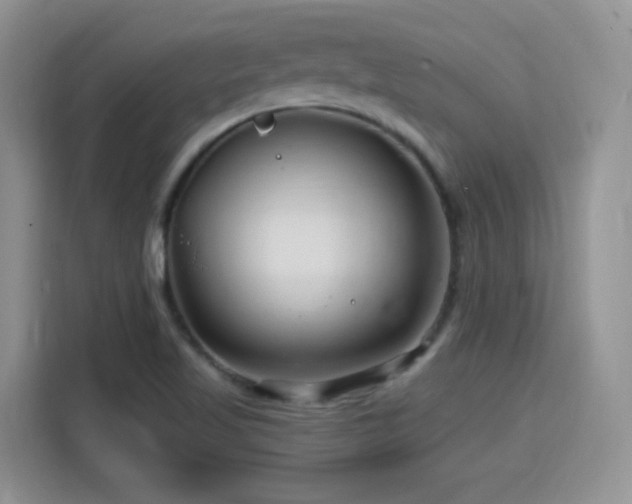 X0000115811509200911201408