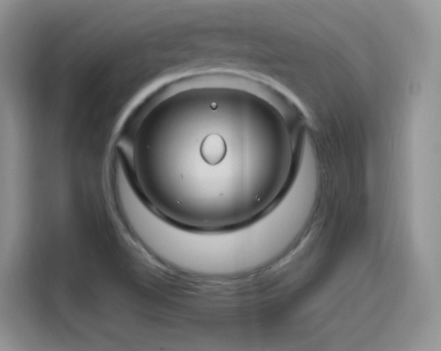 X0000115811510200911201408