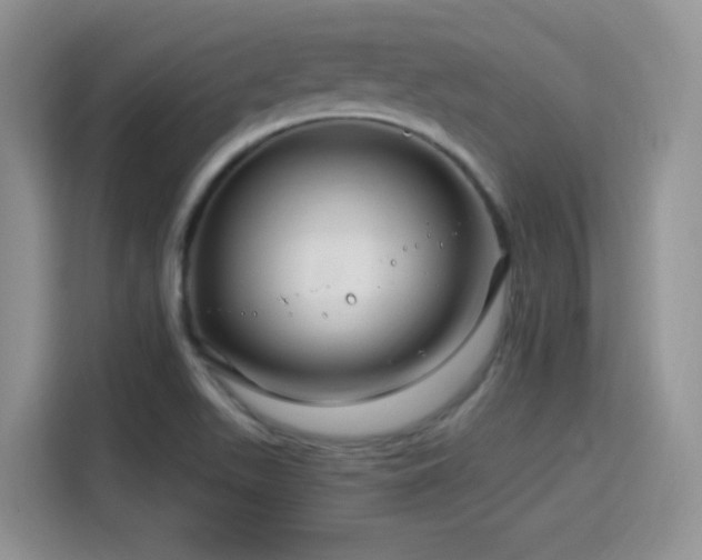 X0000115811511200911201408