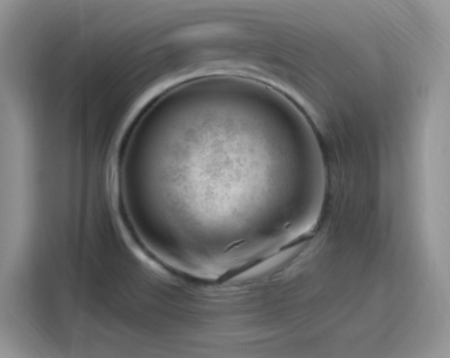 X0000115811515200911201408