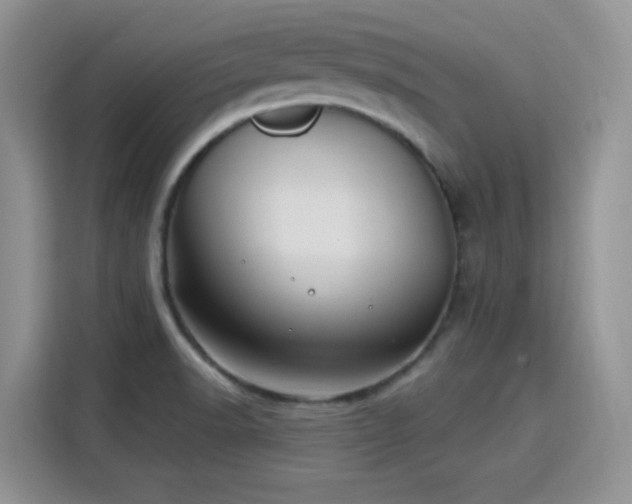 X0000115811518200911201408