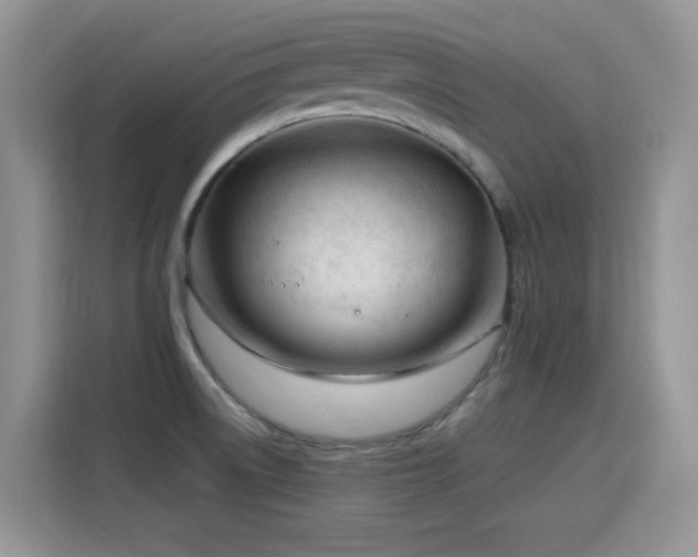 X0000115811522200911201408