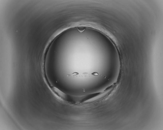 X0000115811525200911201408