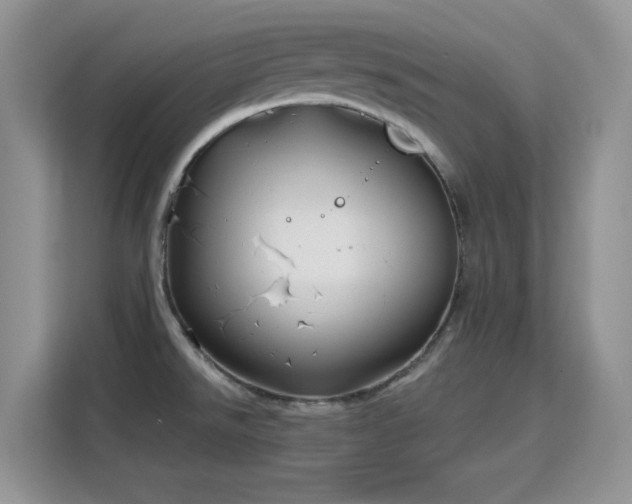 X0000115811526200911201408