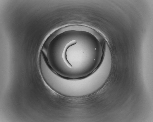 X0000115811527200911201408