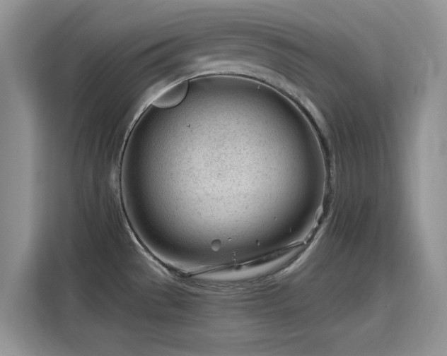 X0000115811529200911201408