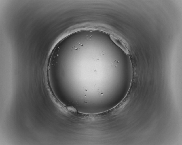 X0000115811530200911201408