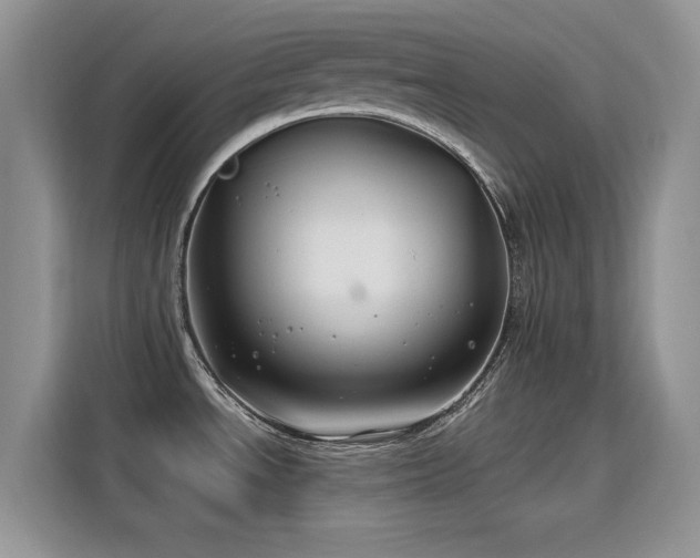 X0000115811534200911201408
