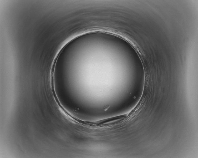 X0000115811535200911201408