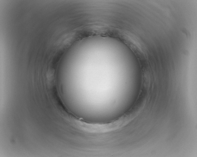 X0000115810034200911271125