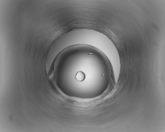 X0000115810045200911271125