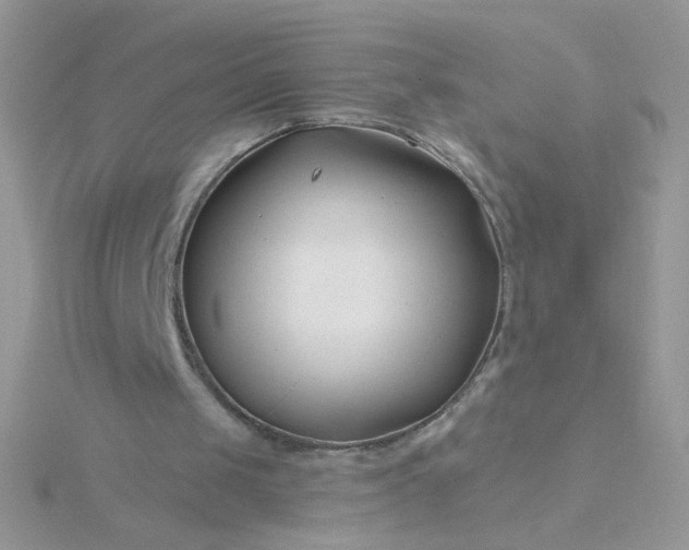 X0000115810049200911271125