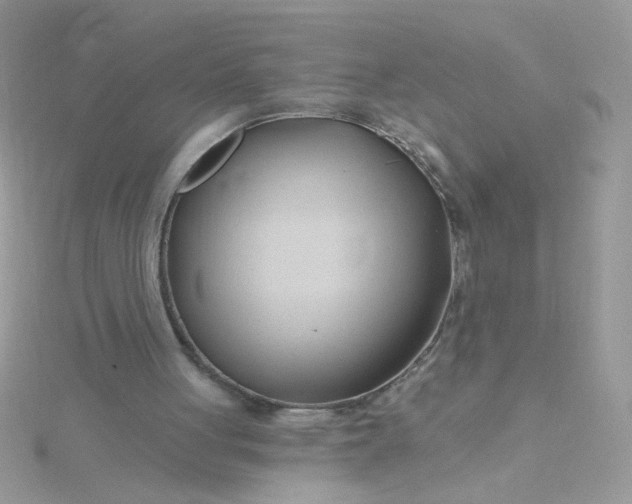 X0000115810051200911271125