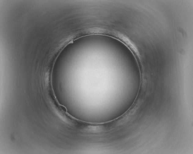 X0000115810057200911271125