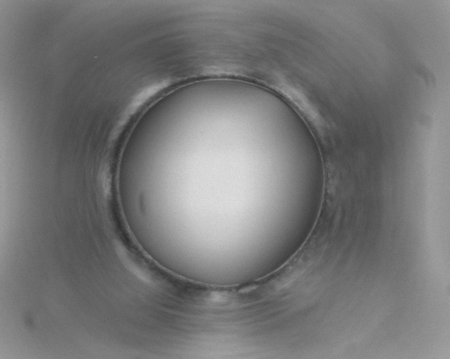 X0000115810060200911271125